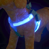 LED Dog Harness - Discounted Offer