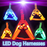 LED Dog Harness - Discounted Offer