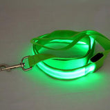 LED Dog Leash