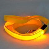 LED Dog Leash