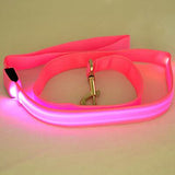 LED Dog Leash