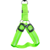 LED Dog Harness - Discounted Offer