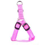 LED Dog Harness - Discounted Offer