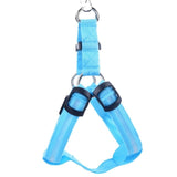 LED Dog Harness - Discounted Offer